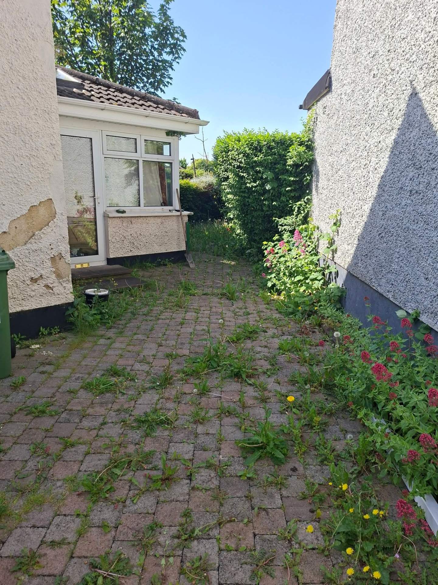 Side Patio Weed & Clearance — before