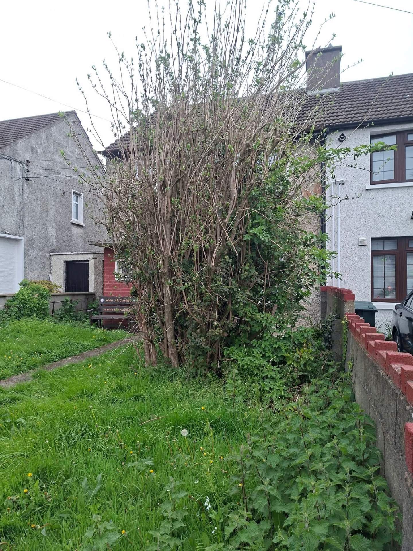 Overgrown Front Garden Rescue — before